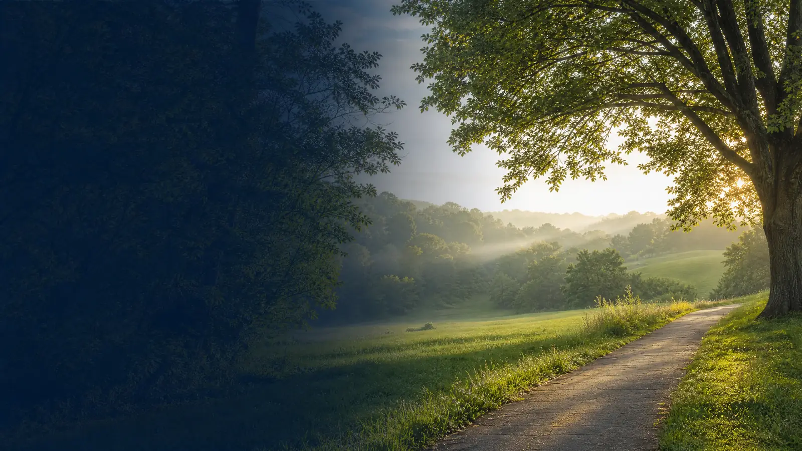 Scenic green landscape near Timonium, Maryland